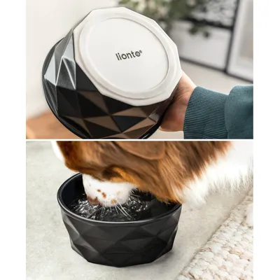 lionto gamelle en céramique pour chien, stable, élégante et facile à vivre lionto gamelle en céramique pour chien, stable, élégante et facile à vivre