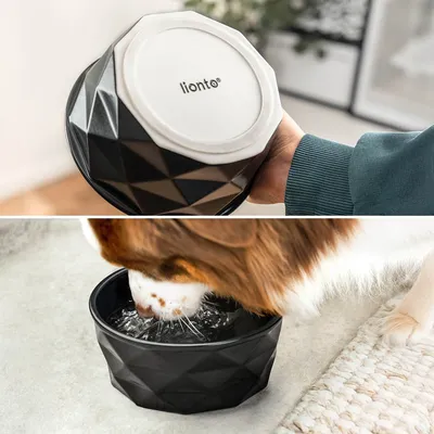 lionto gamelle en céramique pour chien, stable, élégante et facile à vivre