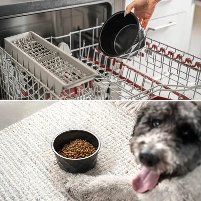 lionto gamelle en céramique pour chien, stable, élégante et facile à vivre