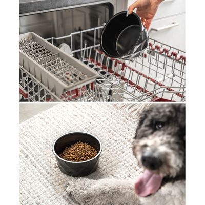 lionto gamelle en céramique pour chien, stable, élégante et facile à vivre