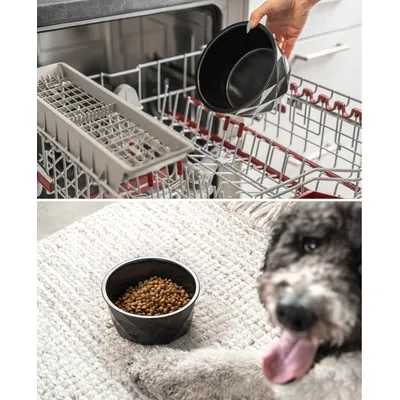 lionto gamelle en céramique pour chien, stable, élégante et facile à vivre lionto gamelle en céramique pour chien, stable, élégante et facile à vivre