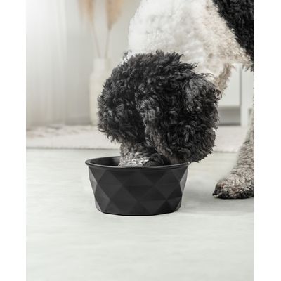 lionto Keramiknapf für Hunde – stabil, elegant und pflegeleicht