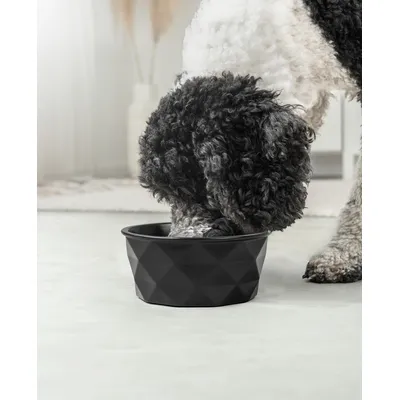lionto gamelle en céramique pour chien, stable, élégante et facile à vivre lionto gamelle en céramique pour chien, stable, élégante et facile à vivre