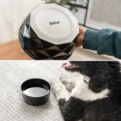 lionto gamelle en céramique pour chien, stable, élégante et facile à vivre