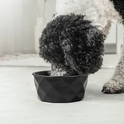 lionto gamelle en céramique pour chien, stable, élégante et facile à vivre