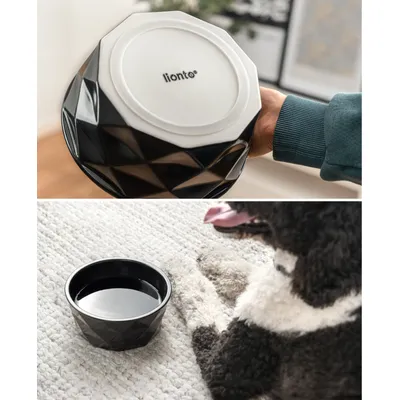lionto gamelle en céramique pour chien, stable, élégante et facile à vivre lionto gamelle en céramique pour chien, stable, élégante et facile à vivre
