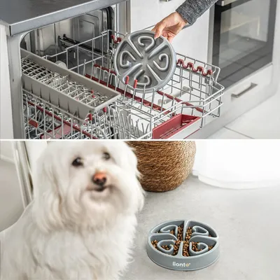 lionto Anti-Schling-Napf für Hunde, rutschfest und lebensmittelecht