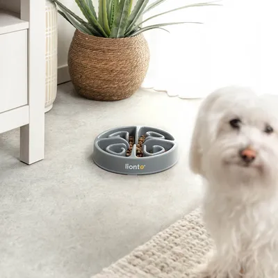 lionto gamelle anti-glouton pour chien, antidérapante et alimentaire