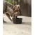 lionto gamelle en céramique pour chien, stable, élégante et facile à vivre