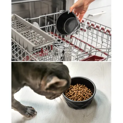lionto gamelle en céramique pour chien, stable, élégante et facile à vivre