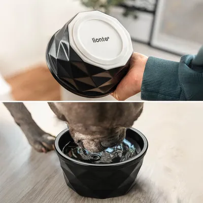 lionto gamelle en céramique pour chien, stable, élégante et facile à vivre