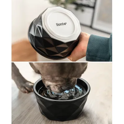 lionto gamelle en céramique pour chien, stable, élégante et facile à vivre