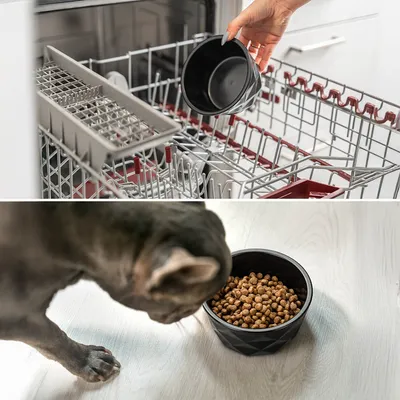 lionto gamelle en céramique pour chien, stable, élégante et facile à vivre