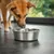 lionto gamelle en inox pour chien, stable, hygiénique et pratique