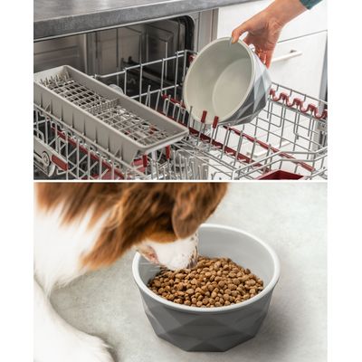 lionto gamelle en céramique pour chien, stable, élégante et facile à vivre