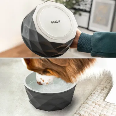 lionto gamelle en céramique pour chien, stable, élégante et facile à vivre
