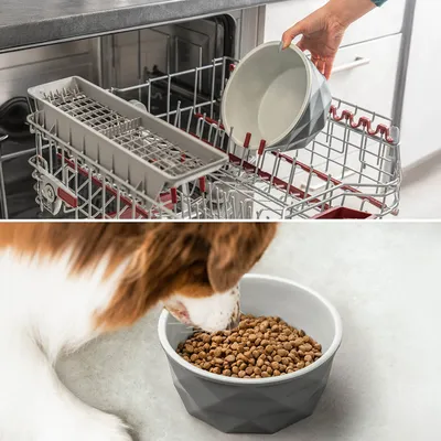 lionto gamelle en céramique pour chien, stable, élégante et facile à vivre