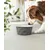 lionto gamelle en céramique pour chien, stable, élégante et facile à vivre lionto gamelle en céramique pour chien, stable, élégante et facile à vivre