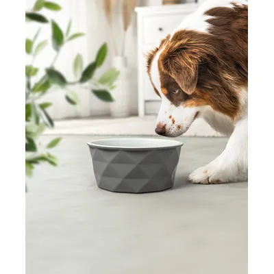 lionto gamelle en céramique pour chien, stable, élégante et facile à vivre lionto gamelle en céramique pour chien, stable, élégante et facile à vivre