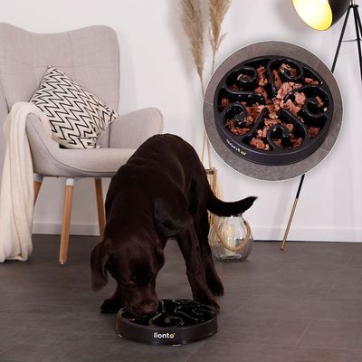 lionto Anti-Schling-Napf für Hunde, rutschfest und lebensmittelecht
