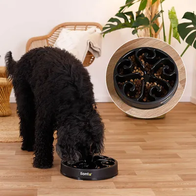 lionto gamelle anti-glouton pour chien, antidérapante et alimentaire