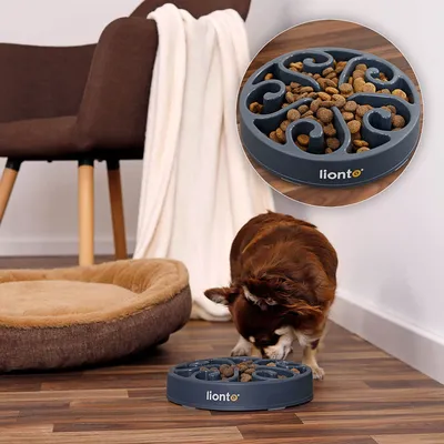 lionto gamelle anti-glouton pour chien, antidérapante et alimentaire