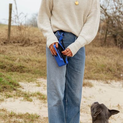 lionto Leckerlibeutel für Hunde, wasserabweisende Snacktasche mit Clip