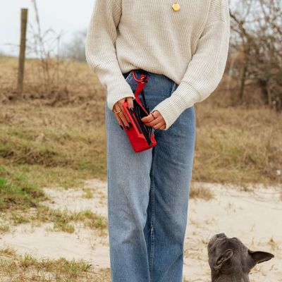 lionto Leckerlibeutel für Hunde, wasserabweisende Snacktasche mit Clip