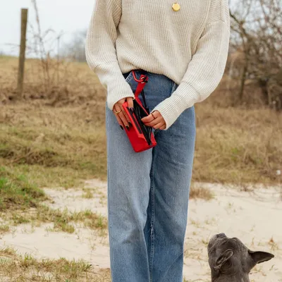 lionto sac à friandises pour chien, snackbag imperméable avec clip