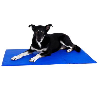 lionto tapis rafraîchissant pour animaux sans électricité facile à nettoyer