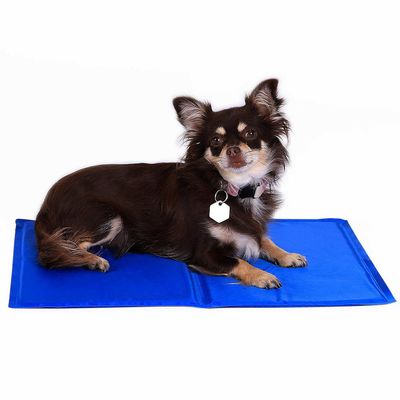 lionto tapis rafraîchissant pour animaux sans électricité facile à nettoyer