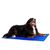 lionto tapis rafraîchissant pour animaux sans électricité facile à nettoyer