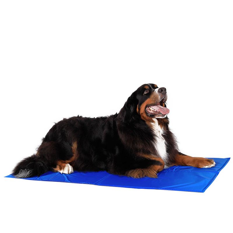 lionto tapis rafraîchissant pour animaux sans électricité facile à nettoyer