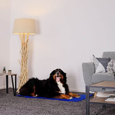 lionto Kühlmatte für Haustiere zur Temperaturregulierung, 120x80 cm, blau