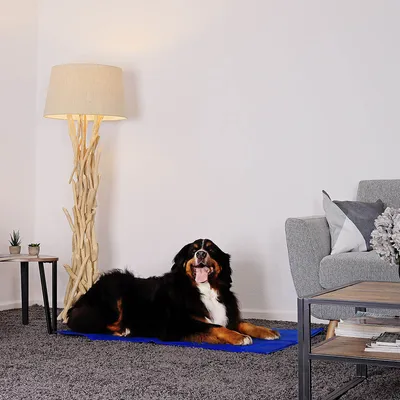 lionto tapis rafraîchissant pour animaux sans électricité facile à nettoyer