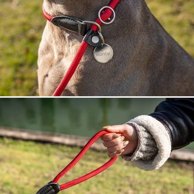 lionto Trainingsleine mit integriertem Halsband und Stopper