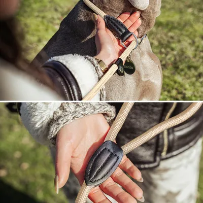 lionto laisse de dressage avec collier intégré et butée, en nylon