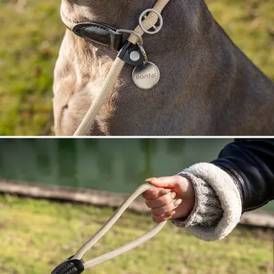 lionto laisse de dressage avec collier intégré et butée, en nylon