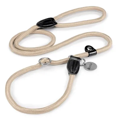 lionto laisse de dressage avec collier intégré et butée, en nylon