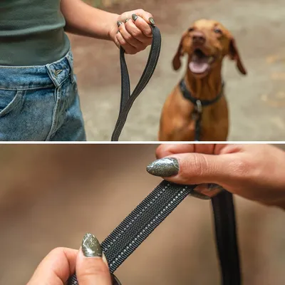 lionto laisse antidérapante avec poignée, nylon réfléchissant solide