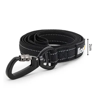 lionto laisse antidérapante avec poignée, nylon réfléchissant solide