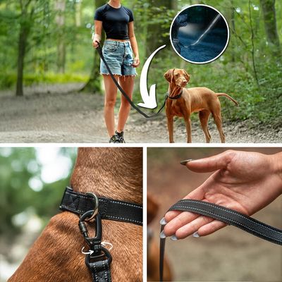 lionto Hundeleine rutschfest mit Griff und reflektierendem Nylon