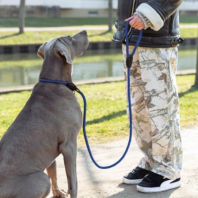 lionto Trainingsleine mit integriertem Halsband und Stopper