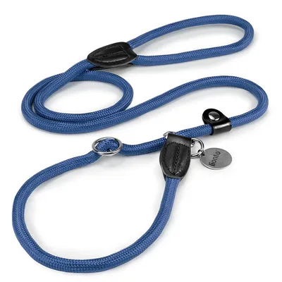 lionto laisse de dressage avec collier intégré et butée, en nylon