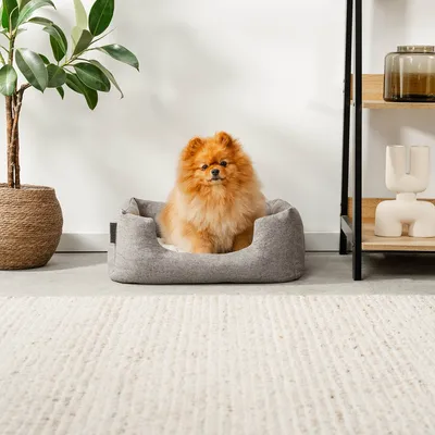 lionto panier pour chien avec coussin moelleux et entrée basse