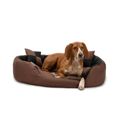 lionto panier pour chien 4-en-1 avec coussin réversible en tissu Oxford