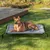 lionto lit pour chien extérieur surélevé en tissu respirant robuste lionto lit pour chien extérieur surélevé en tissu respirant robuste