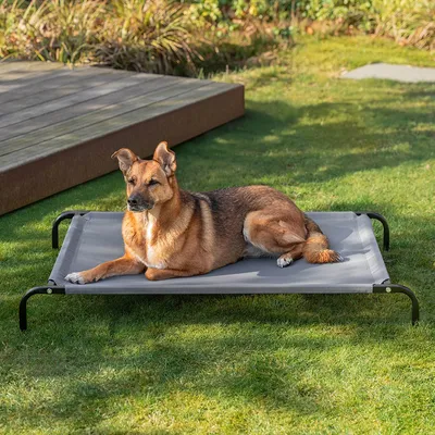 lionto lit pour chien extérieur surélevé en tissu respirant robuste lionto lit pour chien extérieur surélevé en tissu respirant robuste