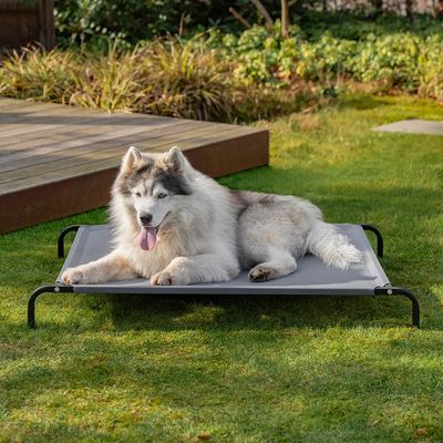 lionto lit pour chien extérieur surélevé en tissu respirant robuste