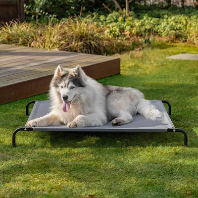 lionto lit pour chien extérieur surélevé en tissu respirant robuste
